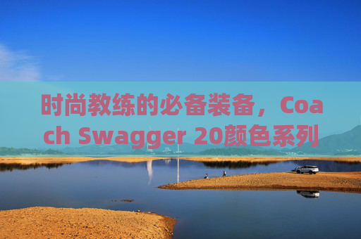 时尚教练的必备装备，Coach Swagger 20颜色系列