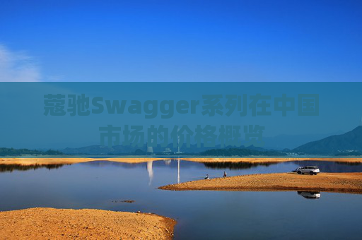 蔻驰Swagger系列在中国市场的价格概览